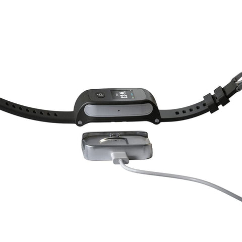 LUADA 2 Notrufuhr mit Sturzerkennung (JahresPaket)